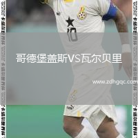 哥德堡盖斯VS瓦尔贝里