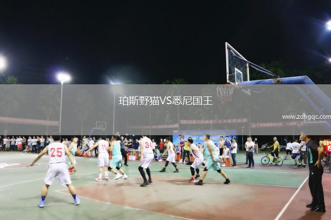 珀斯野猫VS悉尼国王