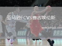 亚马逊FCVS费古埃伦斯