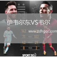 伊韦尔东VS韦尔