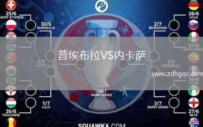 普埃布拉VS内卡萨