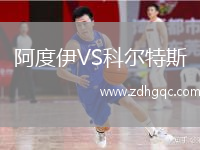 阿度伊VS科尔特斯