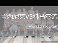 鲁西尼克VS科马尔诺