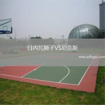 日内瓦狮子VS尼奈斯