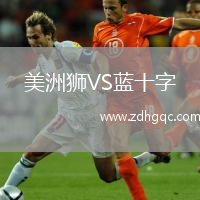 美洲狮VS蓝十字