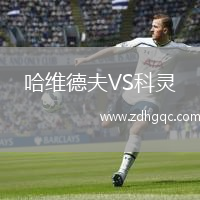 哈维德夫VS科灵