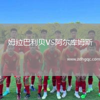 姆拉巴利贝VS阿尔库姆斯