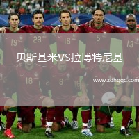 贝斯基米VS拉博特尼基