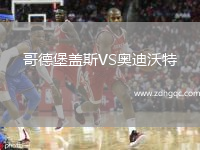 哥德堡盖斯VS奥迪沃特