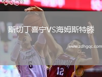 斯切丁喜宁VS海姆斯特滕