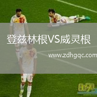 登兹林根VS威灵根