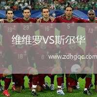 维维罗VS斯尔华