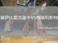 普罗比霍洛登卡VS梅塔利斯特