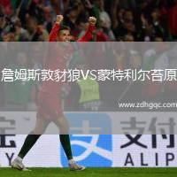 詹姆斯敦豺狼VS蒙特利尔苔原