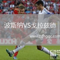 波斯纳VS戈拉兹德