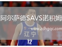 阿尔萨德SAVS诺积姆