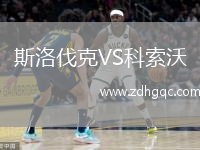 斯洛伐克VS科索沃