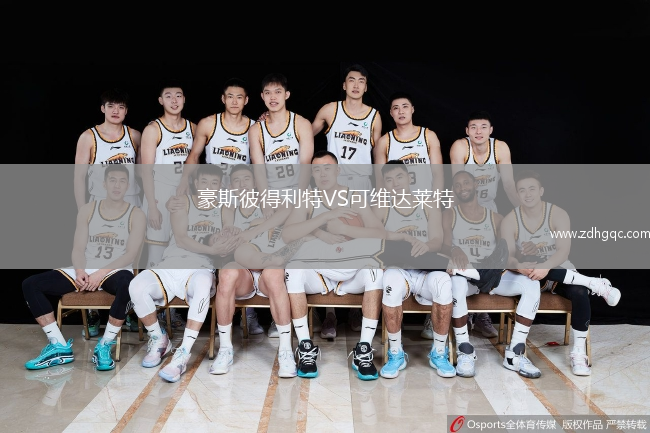 豪斯彼得利特VS可维达莱特