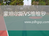 蒙坦尔斯VS维维罗