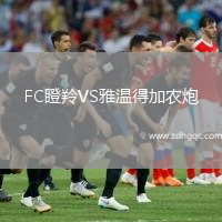 FC瞪羚VS雅温得加农炮