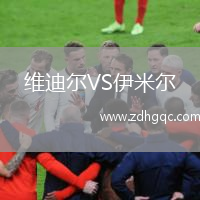 维迪尔VS伊米尔