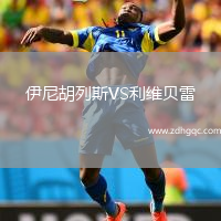 伊尼胡列斯VS利维贝雷