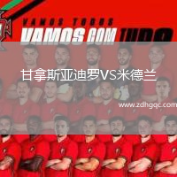 甘拿斯亚迪罗VS米德兰