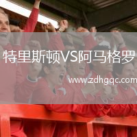 特里斯顿VS阿马格罗