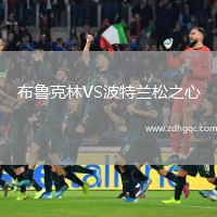布鲁克林VS波特兰松之心