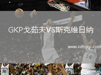 GKP戈茹夫VS斯克维日纳