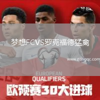 梦想FCVS罗克福德猛禽