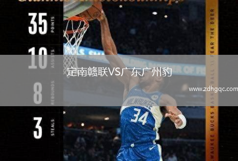 定南赣联VS广东广州豹