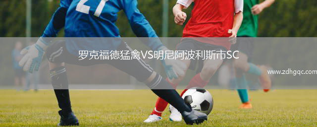 罗克福德猛禽VS明尼阿波利斯市SC