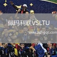 佩玛利联VSLTU