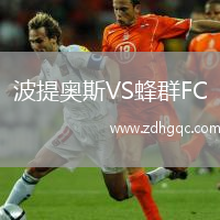 波提奥斯VS蜂群FC
