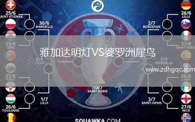 雅加达明灯VS婆罗洲犀鸟