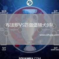布法罗VS匹兹堡猎犬B队