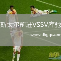 斯太尔前进VSSV库驰