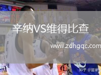 辛纳VS维得比查